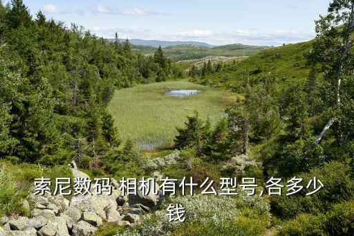 索尼相機(jī)最便宜的多少錢,索尼推出數(shù)碼相機(jī)最低只有2200元...